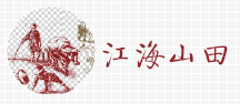 公司案例